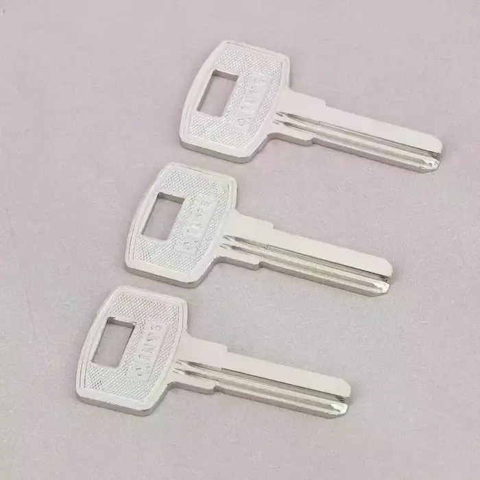 10 PCS/LOT Clé vierge FAV1D Baili à double fente