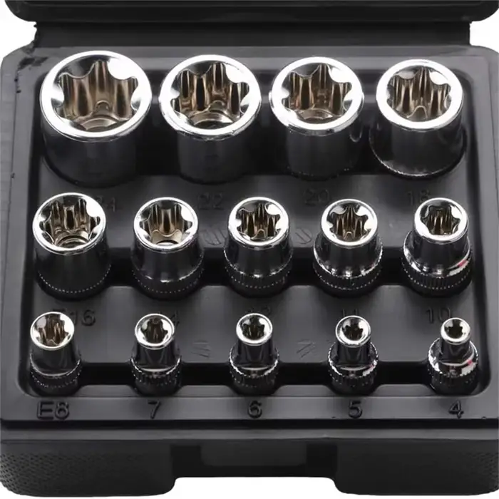 14 pièces/ensemble jeu de douilles Torx E femelle avec étui