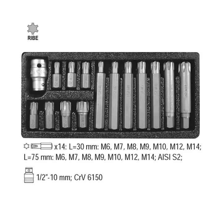 Tournevis à percussion à tige 10mm, jeu d'embouts Ribe 30mm et 75mm Polydrive M6 - M14 avec adaptate