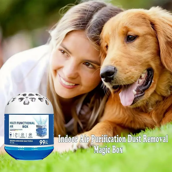 Boîte Magique Multifonctionnelle 120g pour Purification de l'Air Intérieur