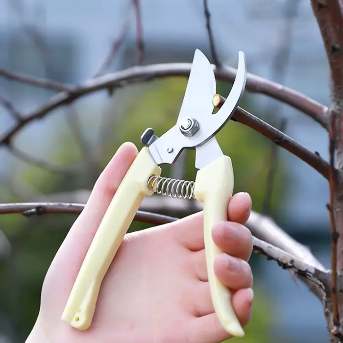 Sécateur en acier inoxydable pour branches de fleurs