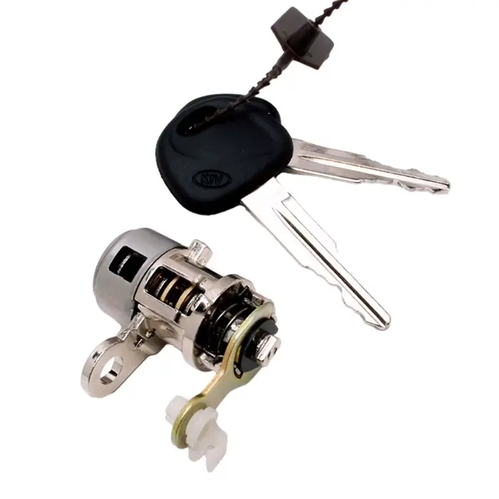 Cylindre de serrure de porte avec 2 clés
