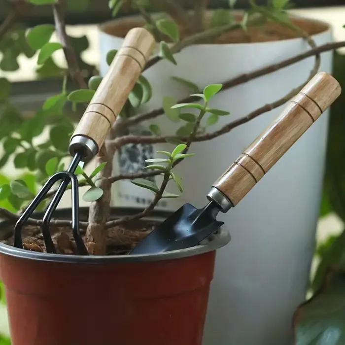 Ensemble d'outils de jardinage avec truelle et pelle