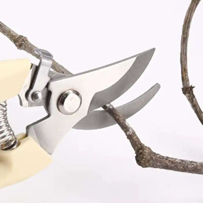 Sécateur en acier inoxydable pour branches de fleurs
