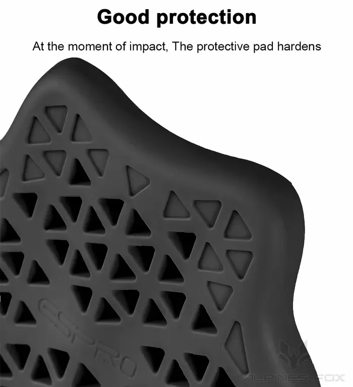 Armure de Protection arrière pour moto