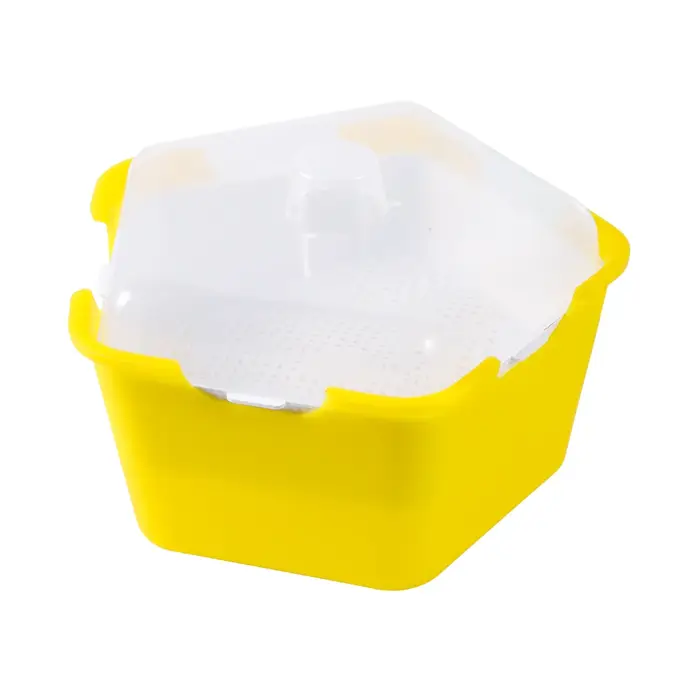 Pot de plantation de germes de haricot Lauren Box