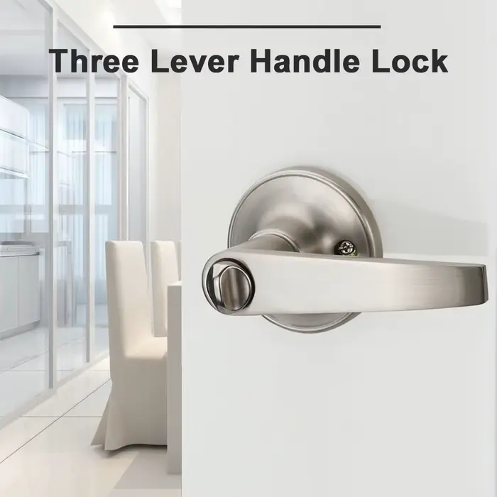 Poignée de porte à levier avec 3 clés