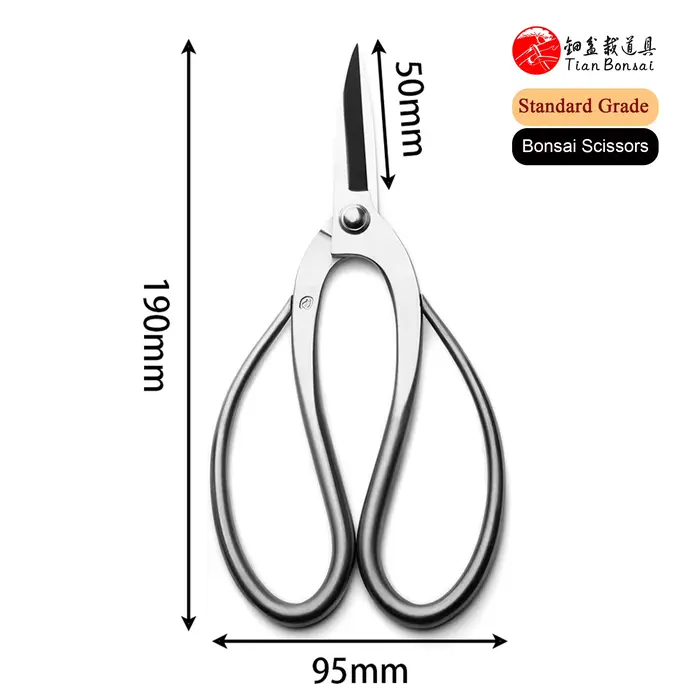 Ciseaux à bonsaï en acier allié 3Cr13, outils d'élagage des racines, qualité standard, 190 mm