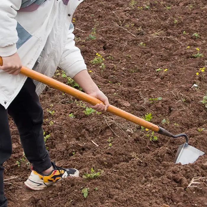 Houe de sol triangulaire pour la plantation de légumes domestiques