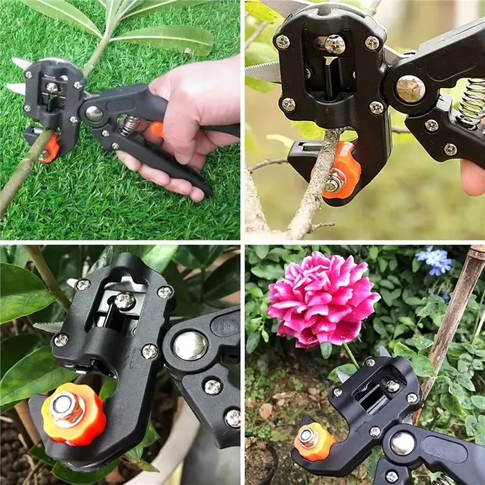 Sécateur de greffage, outil de greffage de jardin