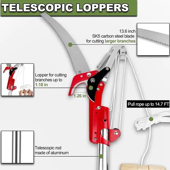 Scie de taille télescopique avec scie d'élagage