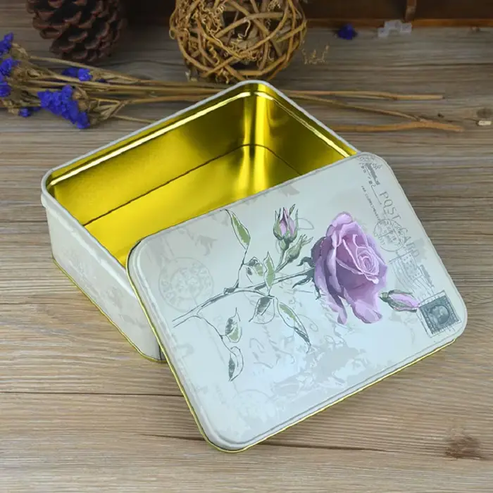 Grande boîte rectangulaire en fer blanc pour biscuits et oiseaux