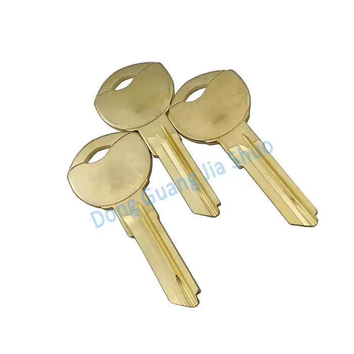 JS 2317 clé spéciale multi-fentes de forme spéciale clé allemande vierge