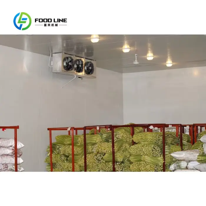 Stockage au froid compact personnalisé peu encombrant