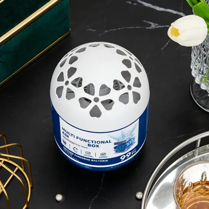 Boîte Magique Multifonctionnelle 120g pour Purification de l'Air Intérieur