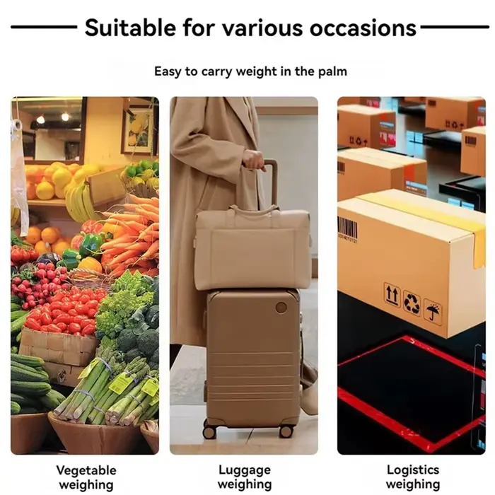 Balance à bagages numérique Portable 3-en-1 50Kg/110Lbs