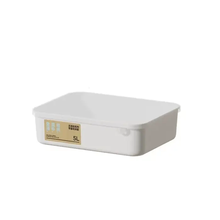 Boîte de rangement multifonctionnelle pour la maison, avec couvercle, organisateur de sous-vêtements